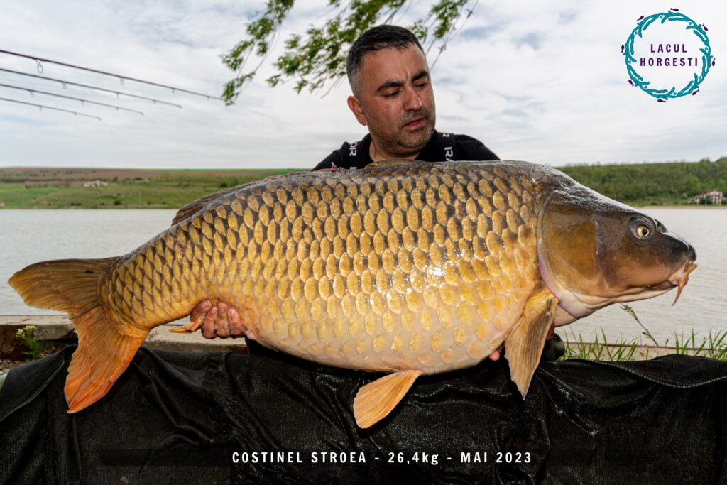 Costinel Stroea - 26,4kg