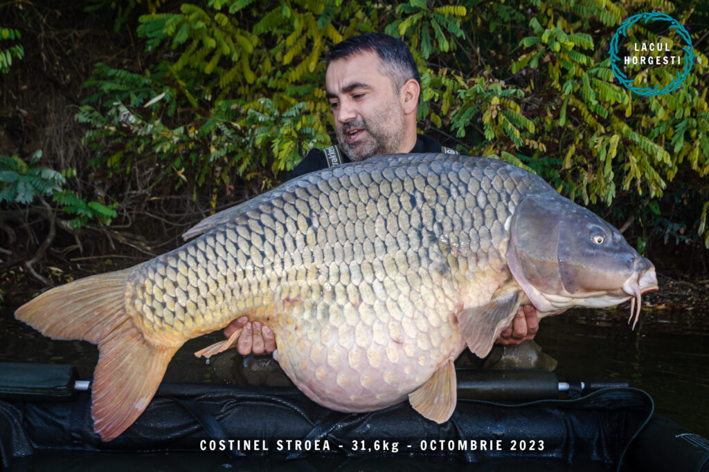 Costinel Stroea - 31,6kg