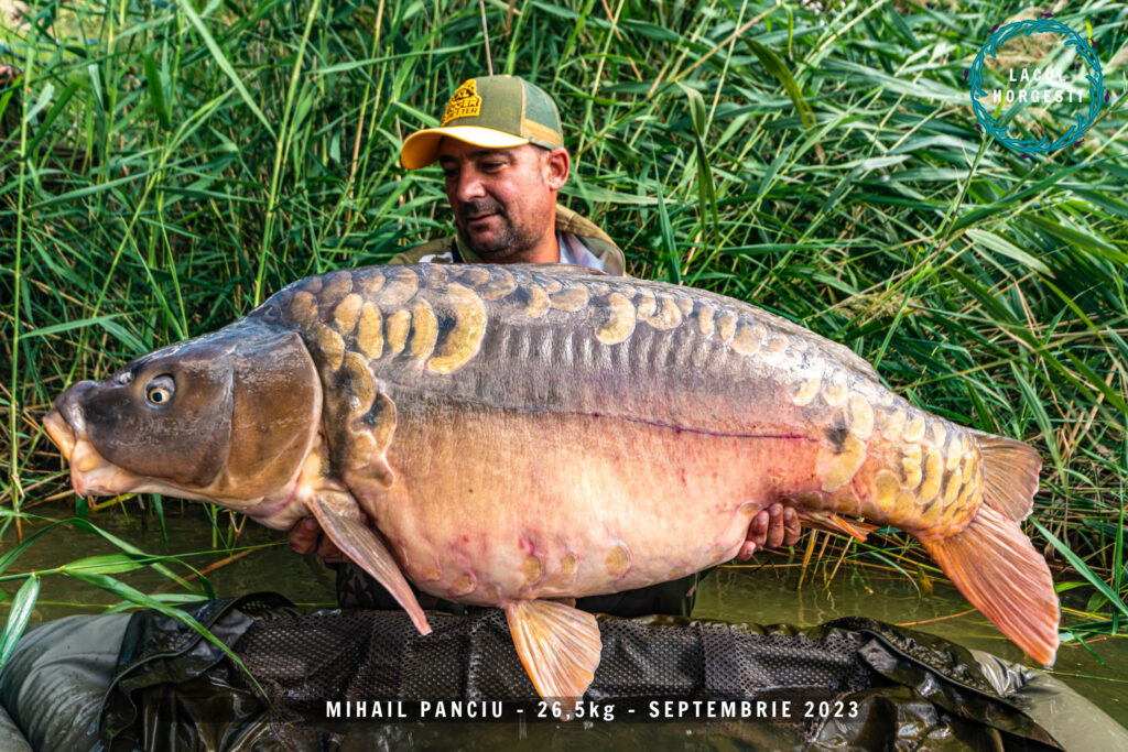 Mihail Panciu - 26,5kg