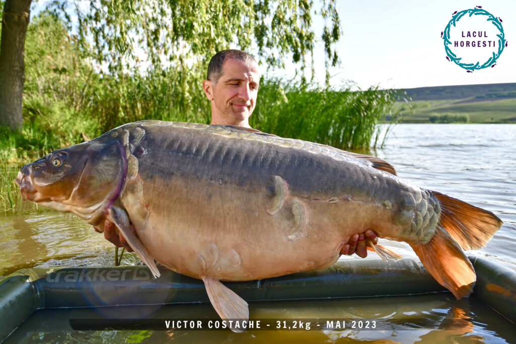 Victor Costache - 31,2kg
