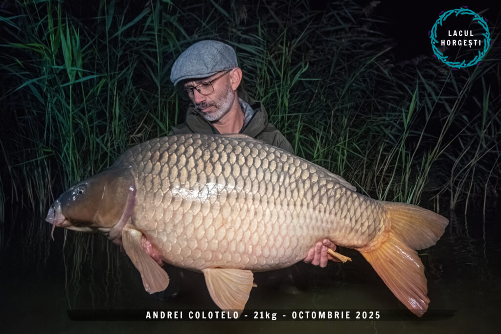 Andrei Colotelo - 21kg