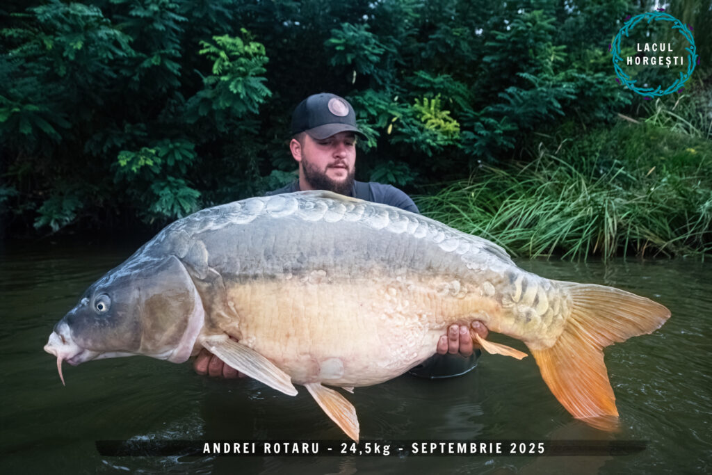 Andrei Rotaru - 24,5kg