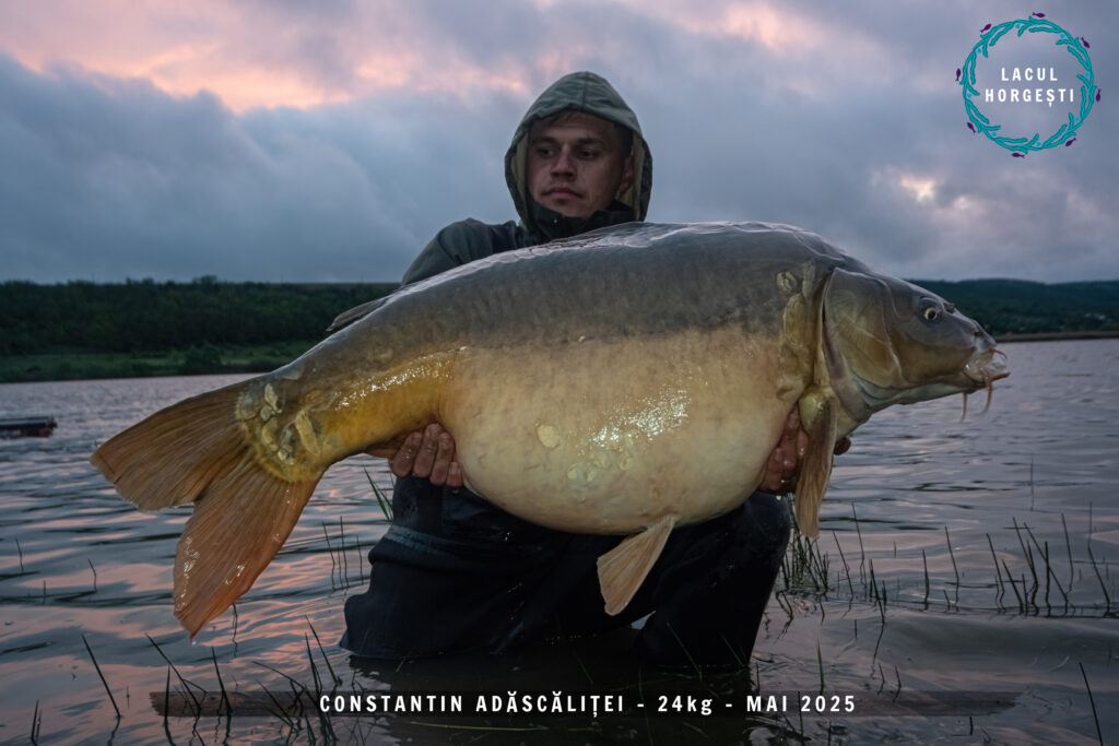 Constantin Adascalitei - 24kg
