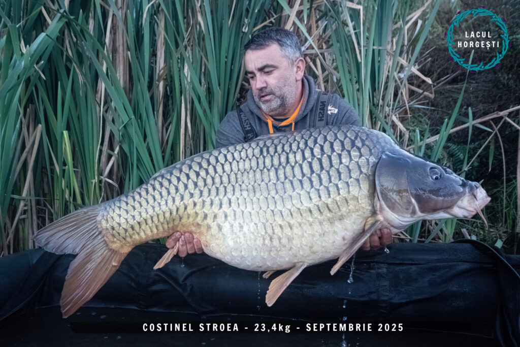 Costinel Stroea - 23,4kg Peppered Squid
