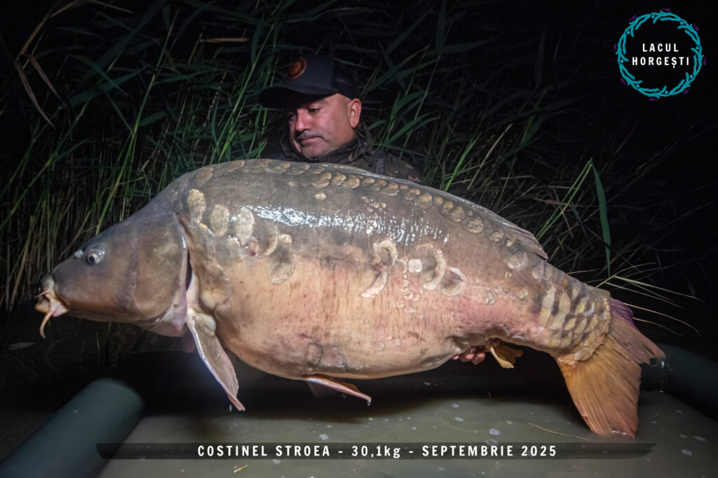 Costinel Stroea - 30,1kg