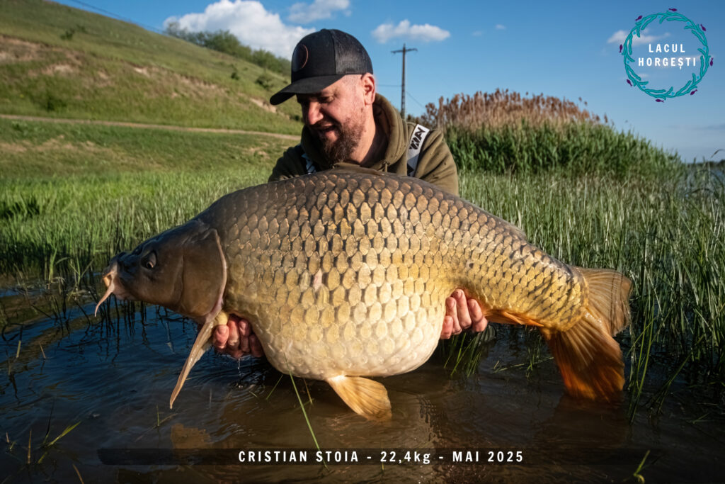 Cristian Stoia - 22,4kg