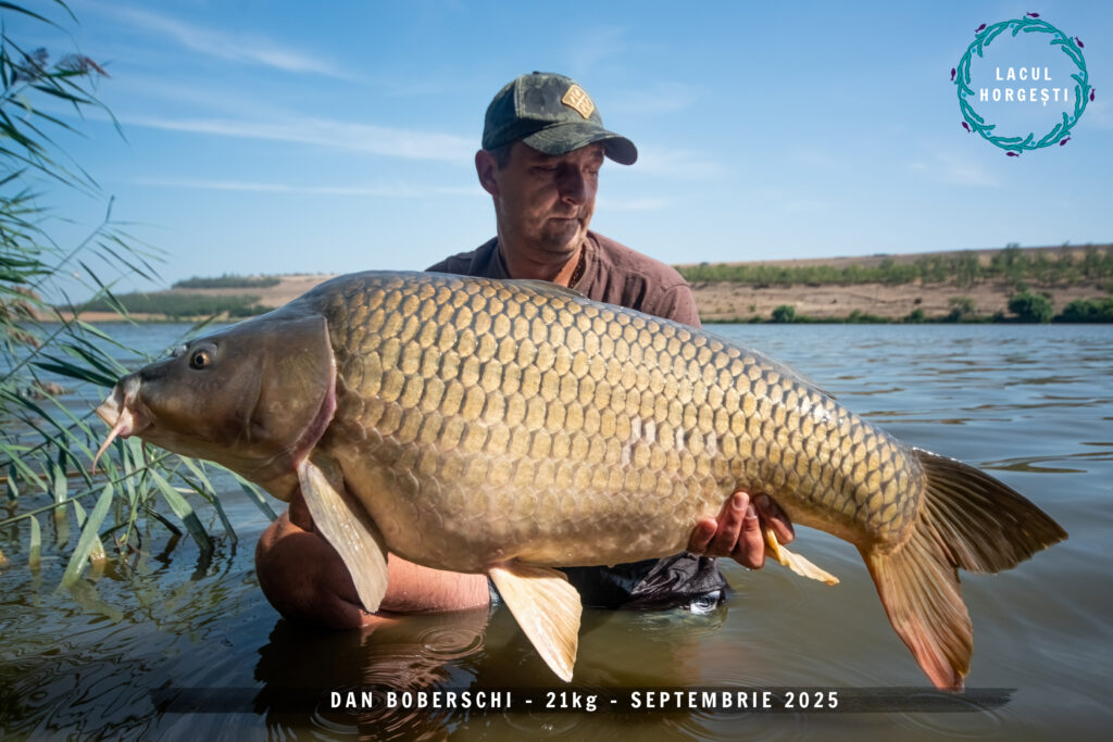 Dan Boberschi - 21kg Hot Crab & Krill + The Source