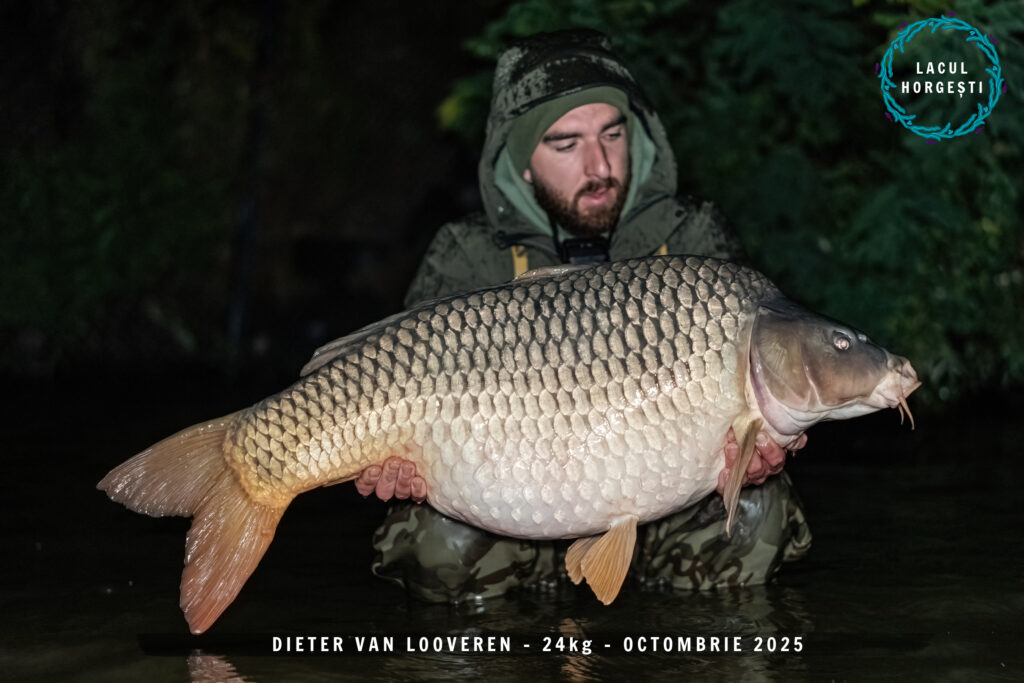 Dieter Van Looveren - 24kg