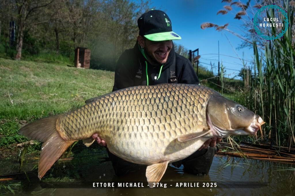 Ettorre Michael - 27kg