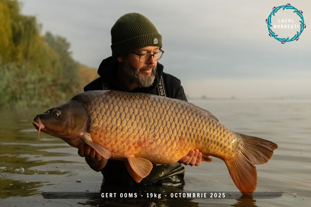 Geert Ooms - 19kg