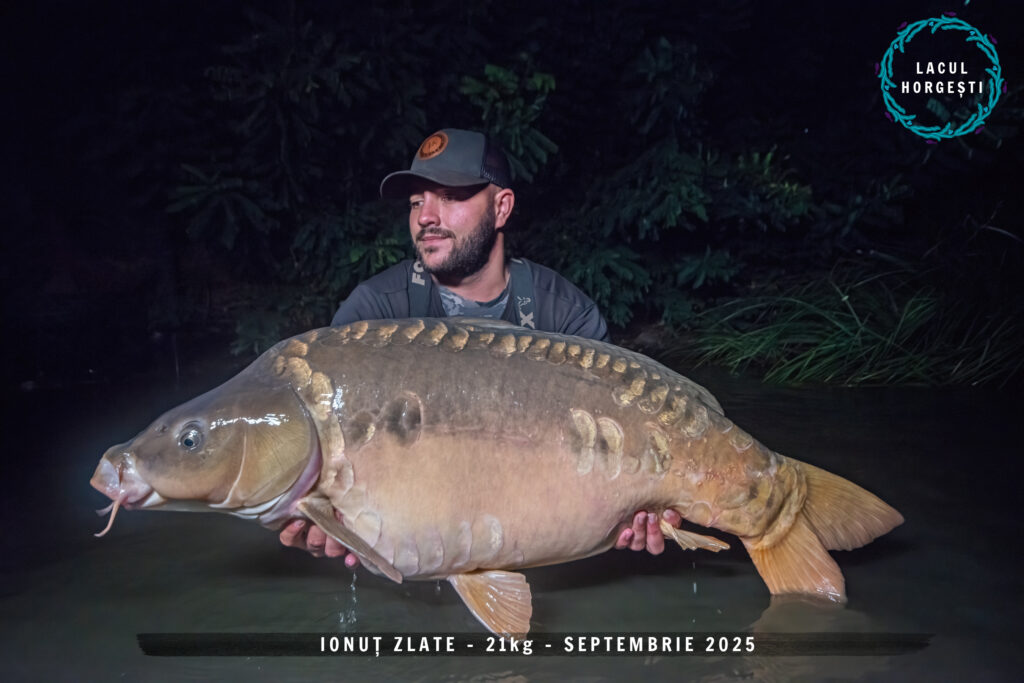 Ionuț Zlate - 21kg