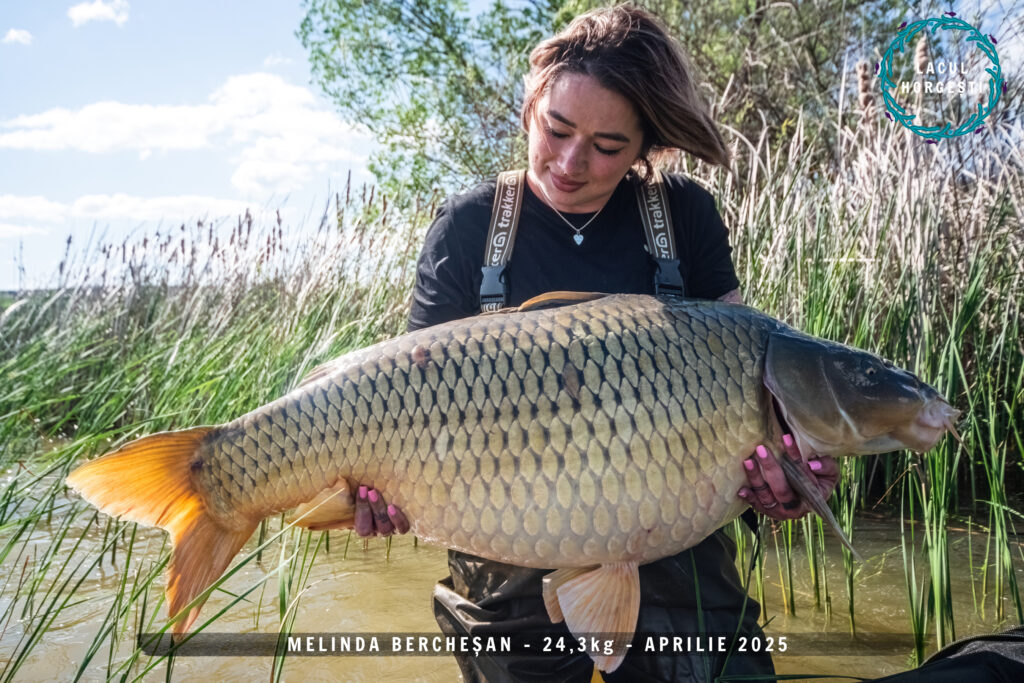 Melinda Berchesan - 24,3kg