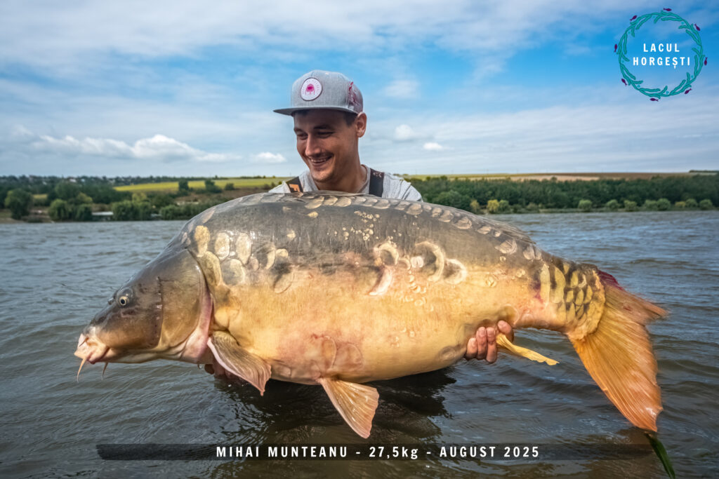 Mihai Munteanu - 27,5kg