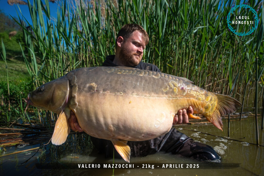 Valerio Mazzocchi - 21kg