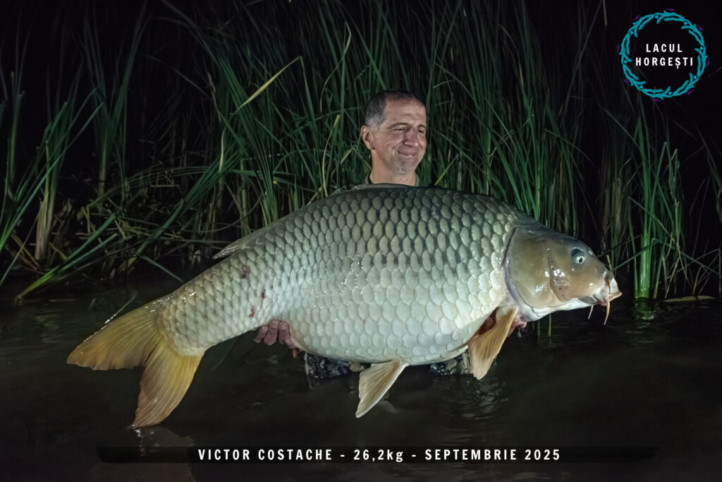 Victor Costache - 26,2kg Peppered Squid